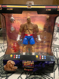 2025 Jada Street Fighter Sagat